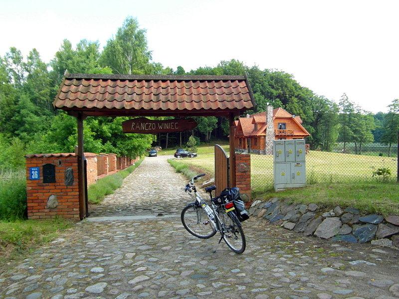 Lawendowy Winiec