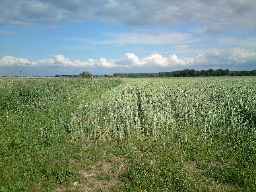 Tutaj dalej biegła droga (sudecka)