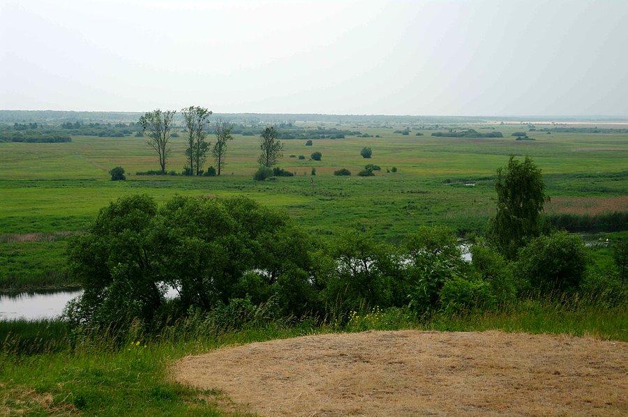 Biebrza