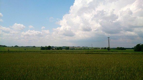 Pola koło Osowy