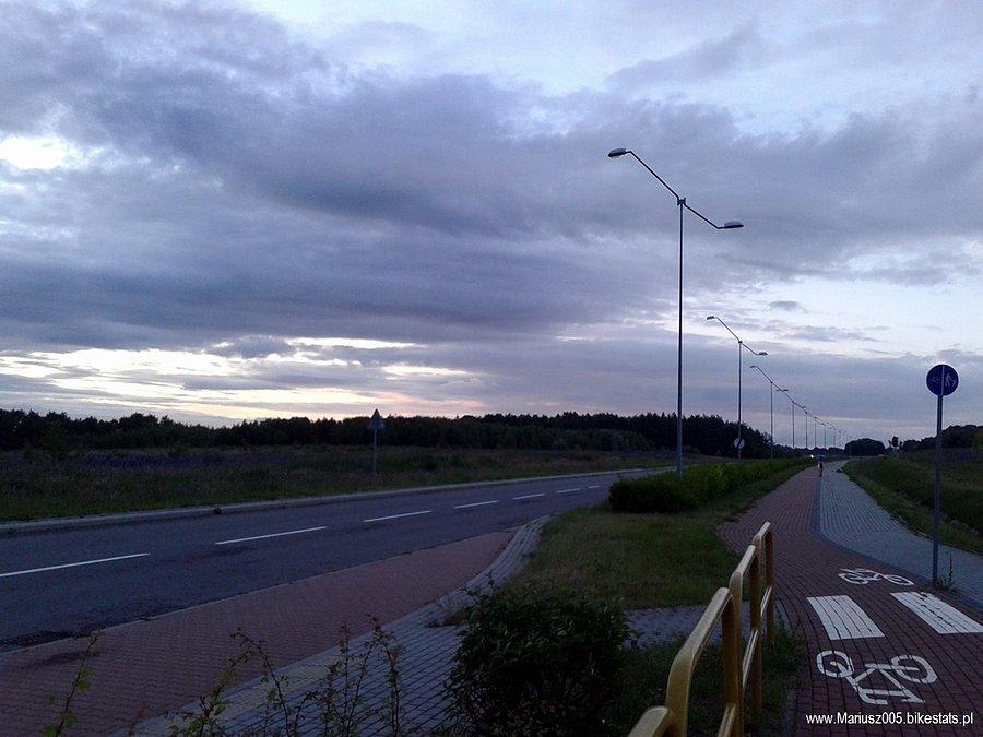 Modrzewina - Elbląg