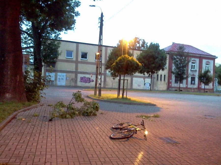 Spadła sobie gałąź