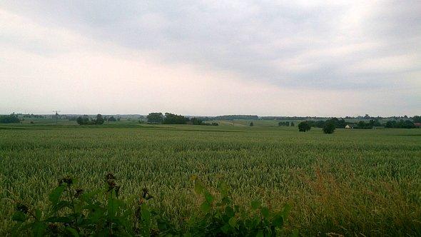 Pola koło Bystrzejowic
