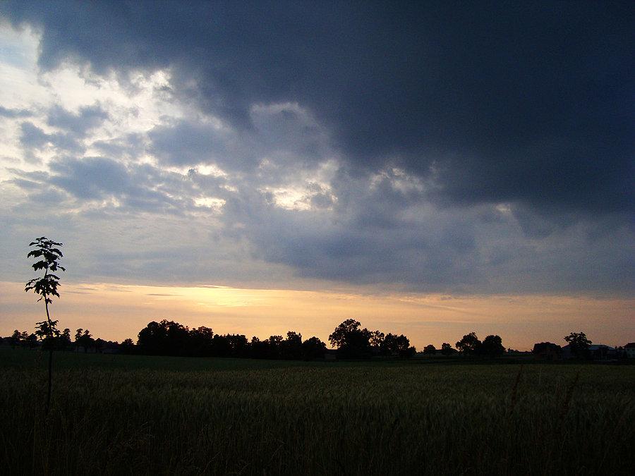 Widoczki za Krzywosądowem