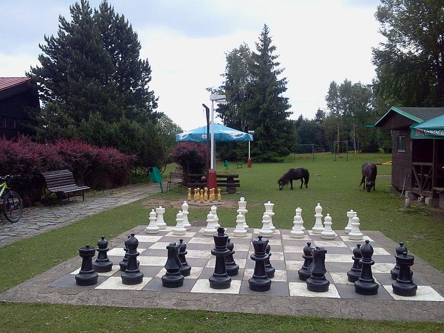 Szach, kręgle i kucyki