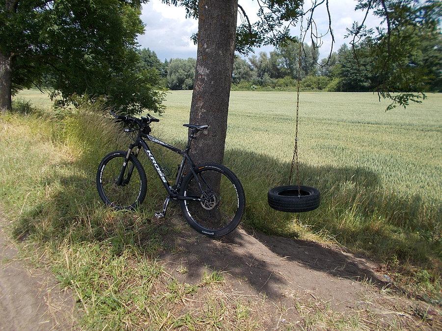 Bujaweczka w Wiktorowie