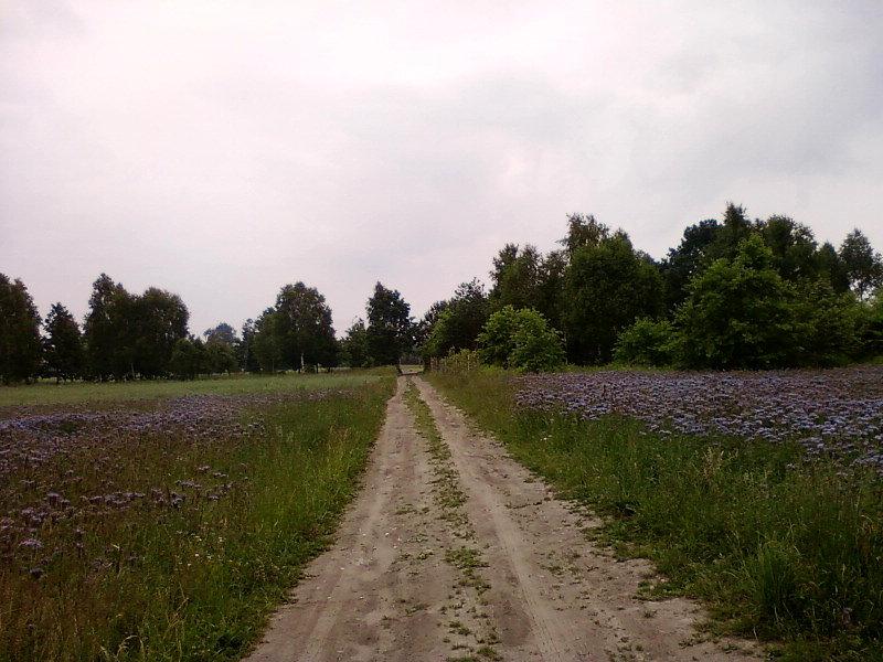Ul. Zaścianek Bohatyrowicze