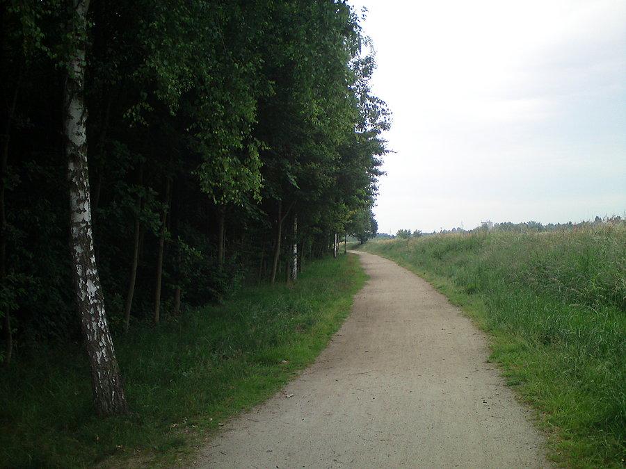 Gdzieś tam w parku