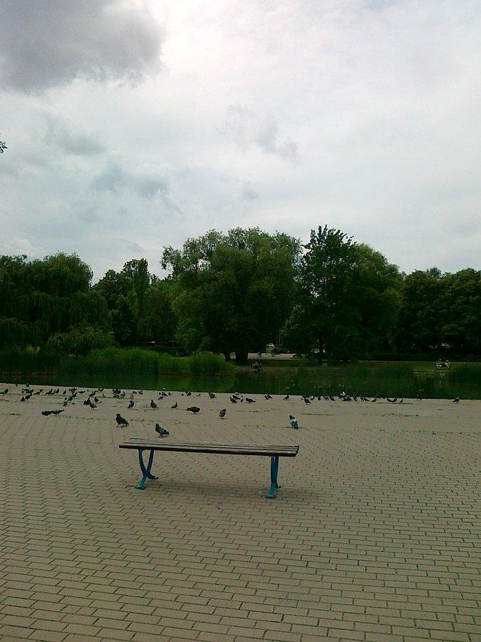 Ławeczka i ptaki