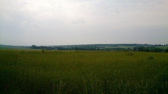 Pola koło Bychawy