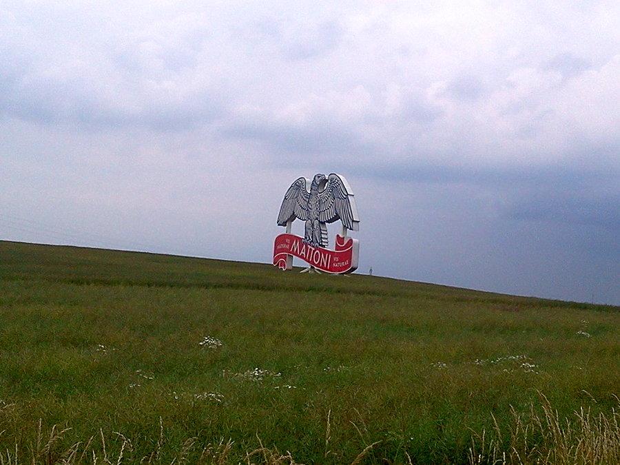 Oreł w polu