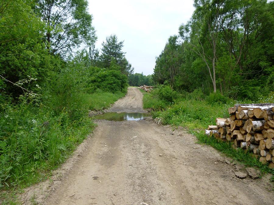 Żółtym z Tylawy