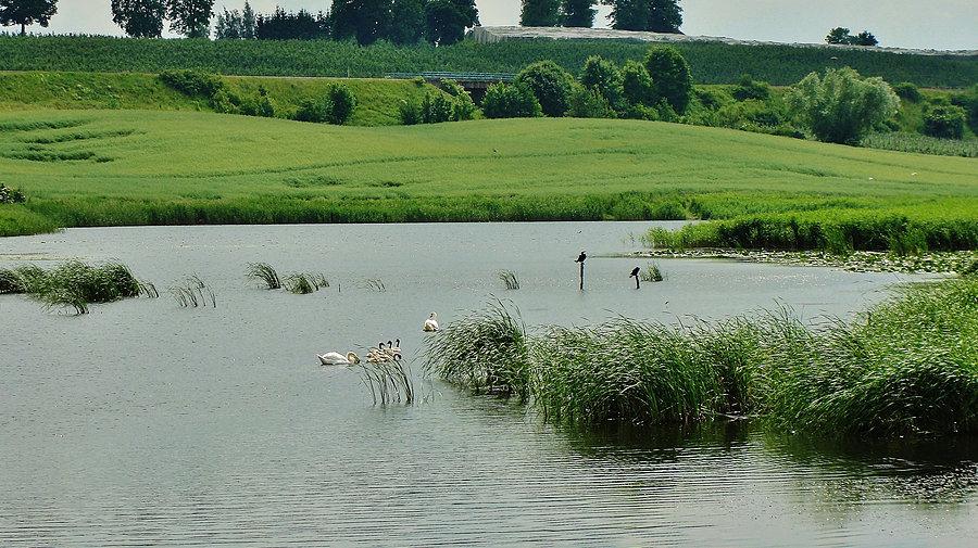 Okolice Tczewa. Staw