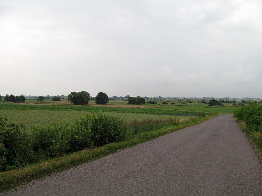 Pradolina w okolicach Rybitw