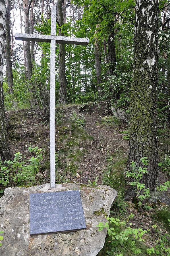 Cmentarz choleryczny