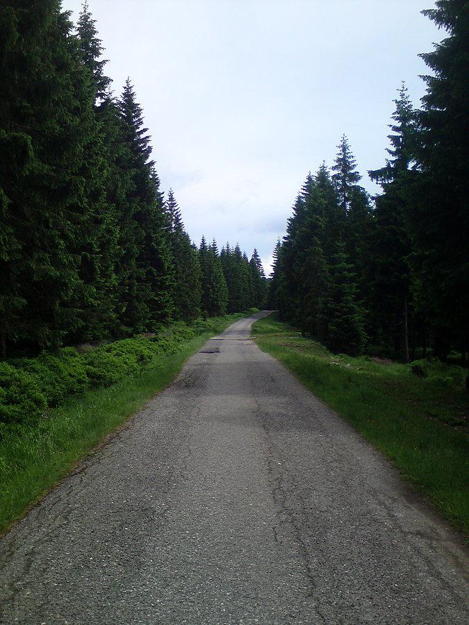 W drodze do kopalni