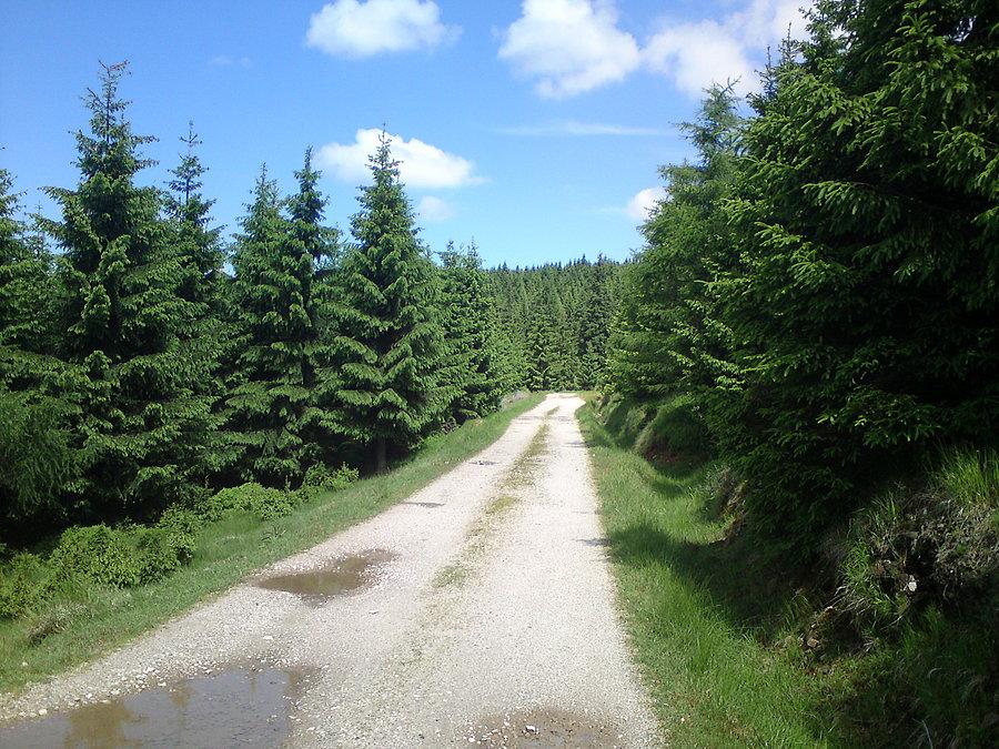 W drodze na kolejne rozdroże