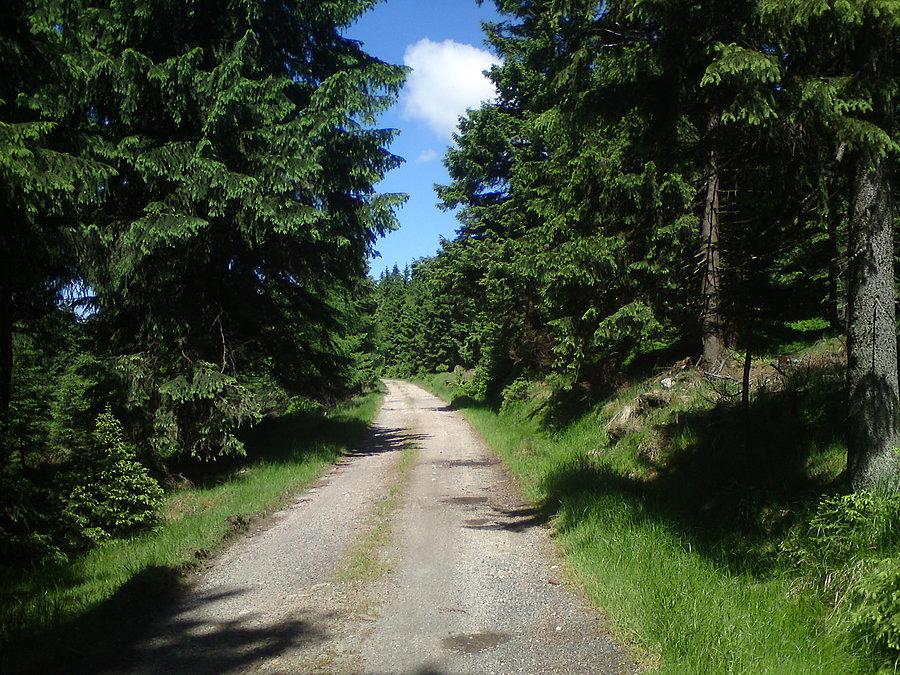 Jedziemy dalej (cały czas pod górę)