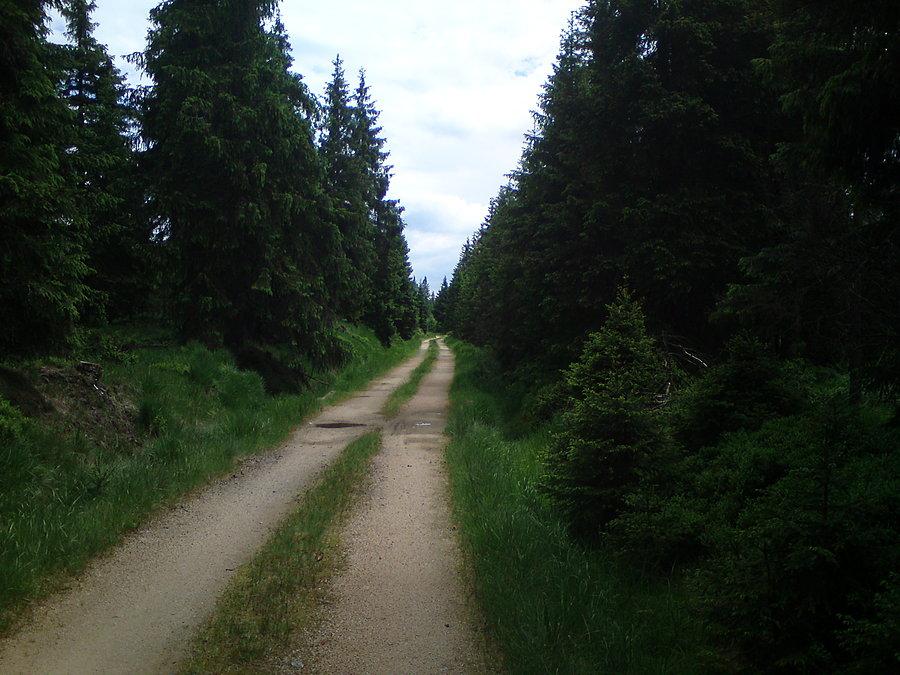 Droga Borowinowa