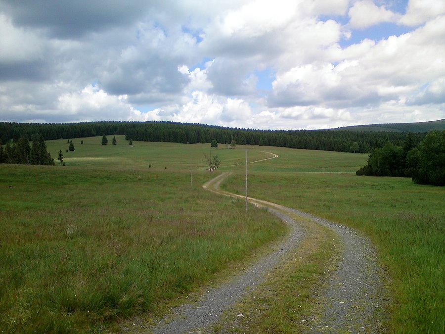 Końcówka Drogi Borowinowej na Hali Izerskiej