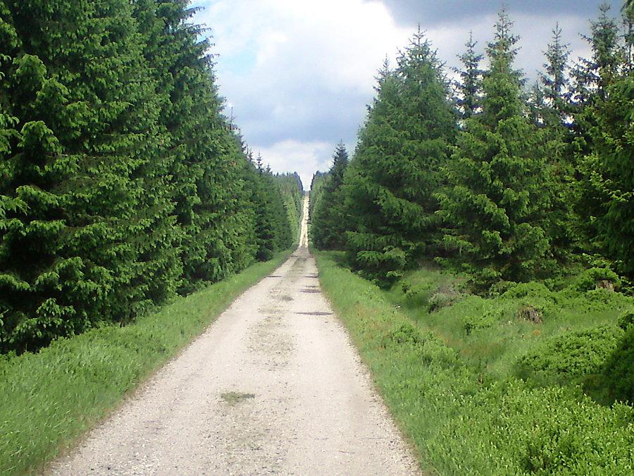 Zwie się to "Samolot"