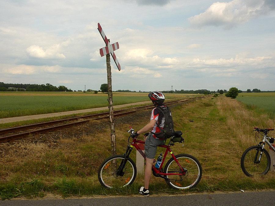 Znaki drogowe przymocowane to patyków... wszędzie