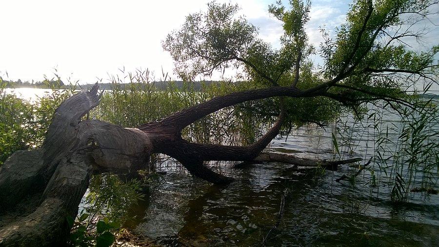 Jezioro Ełckie