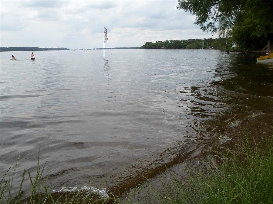 Plaża trawiasta w Nieporęcie