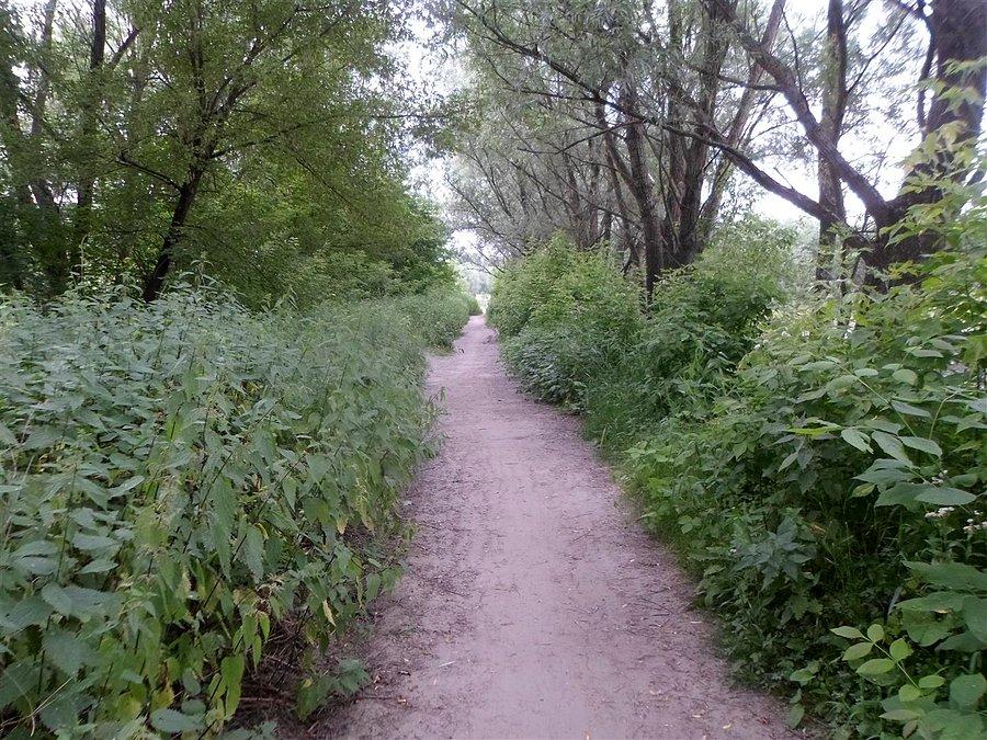 Dojazd do promu Łomianki - Nowodwory