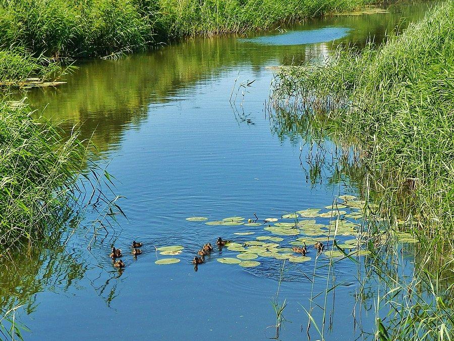 Okolice Tczewa. Przekop między jeziorami