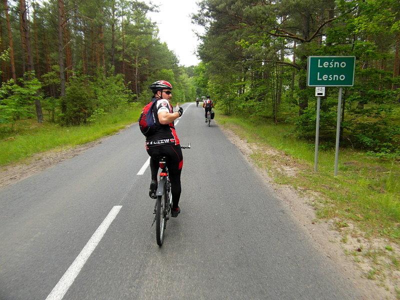 W Leśnie