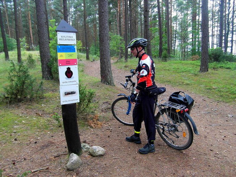 Kamienne kręgi w Leśnie