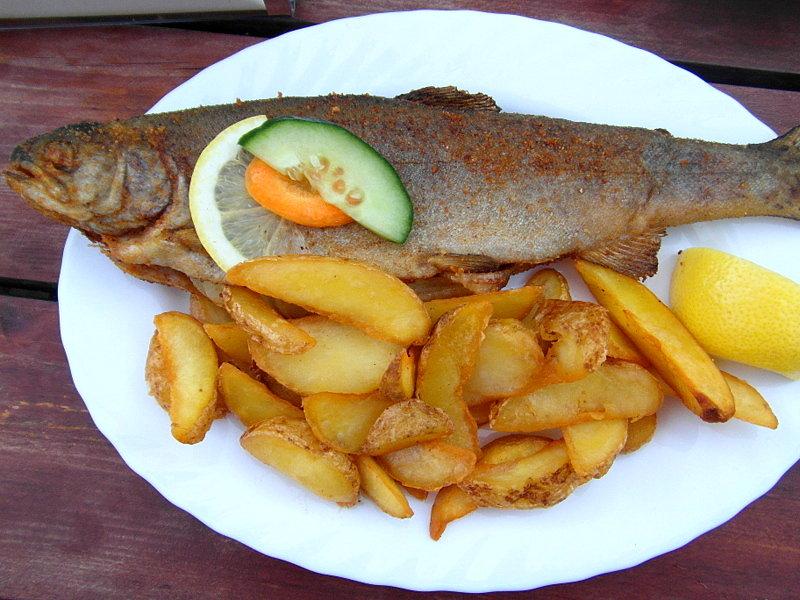 Pstrąg w znanej restauracji przy zaporze w Mylofie