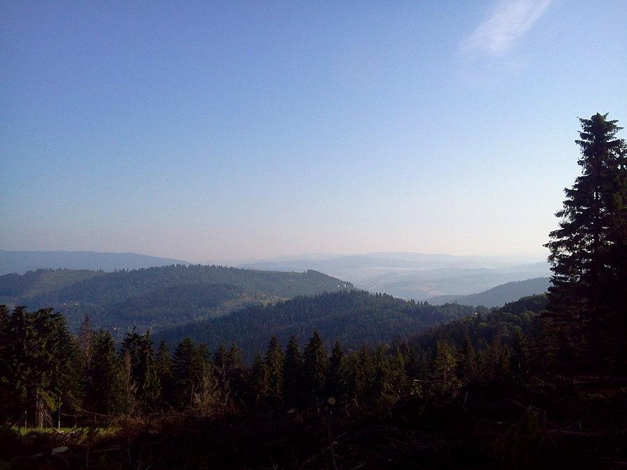 Z Chotarnego kopca na północ