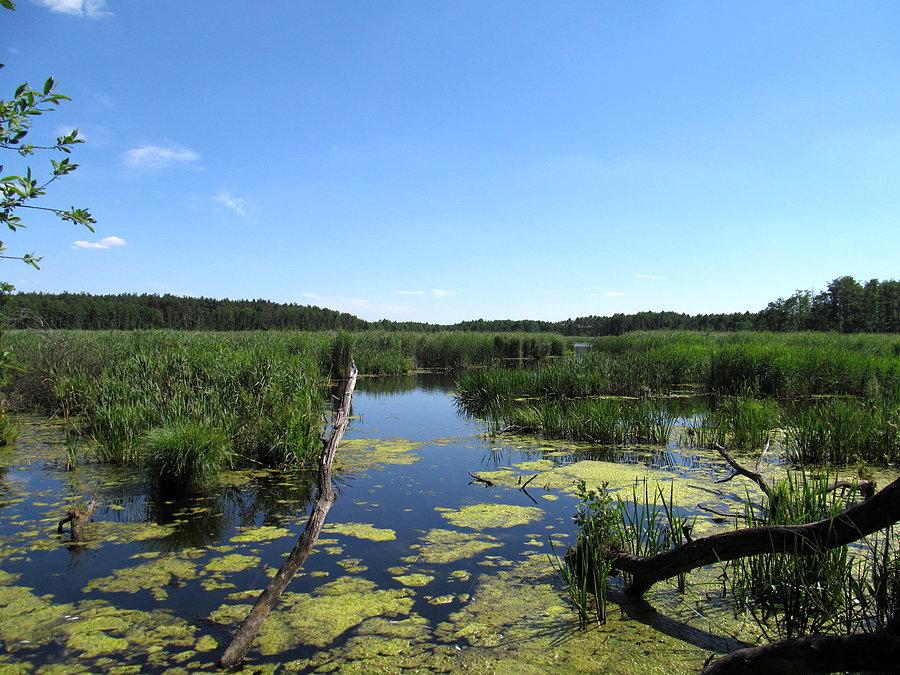 A oto i Silne Błota - bardzo urokliwe miejsce