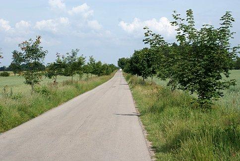 Pustą drogą