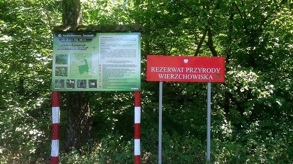Rezerwat Wierzchowiska