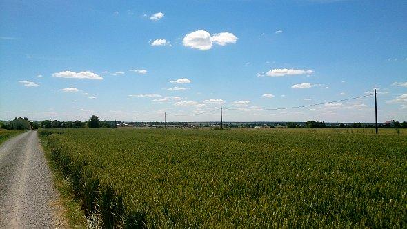 Widok na pola