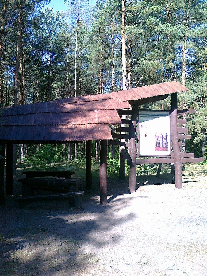Wiata już pomalowana, jednym słowem gotowa