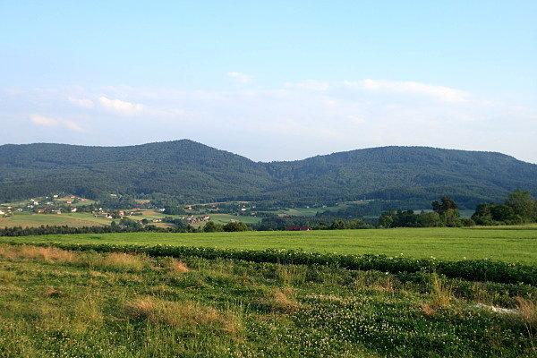 Ostra i Cichoń