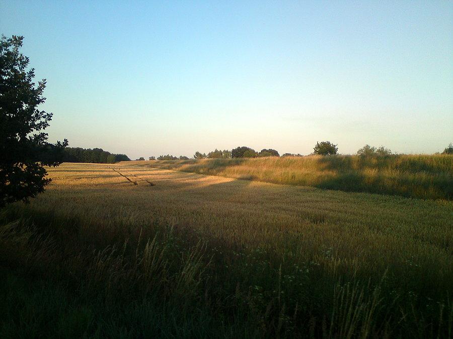 Wieczorową porą