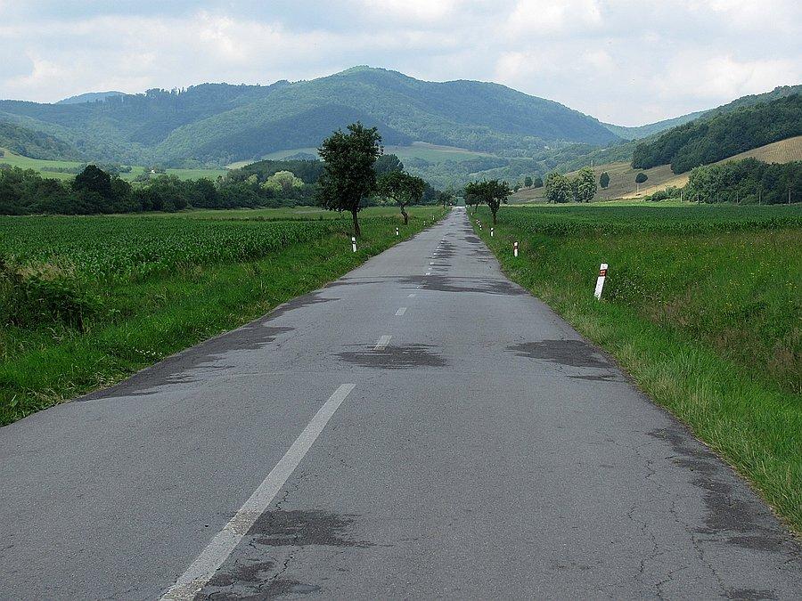 Dróżka na Stebnik
