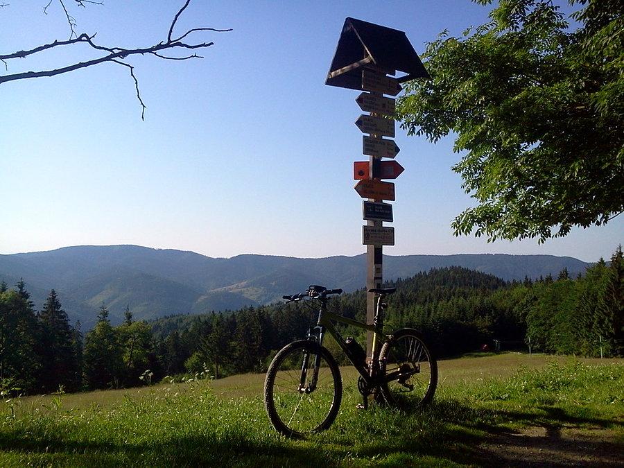 Widok na Wielki Połom