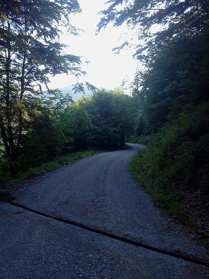 Szutrowka z Kamenitego do Kosarzysk