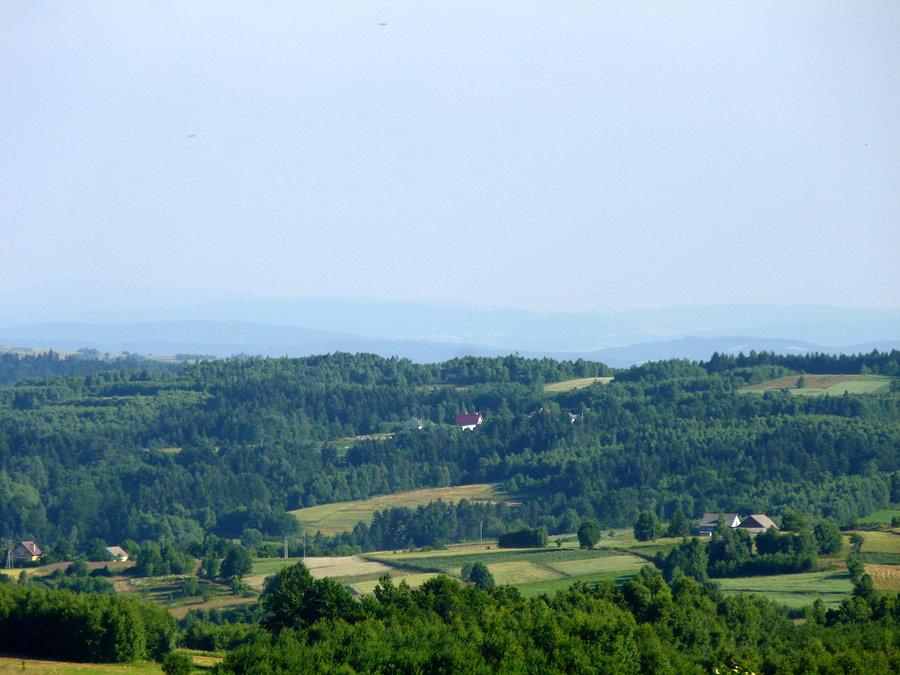 Bieszczady leswo widać
