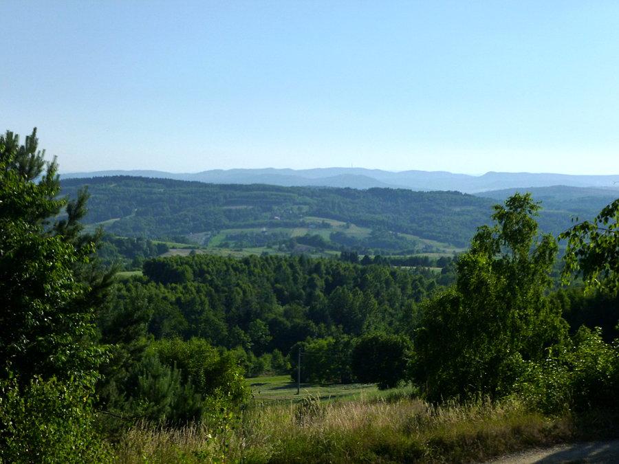 W stronę Suchej Góry