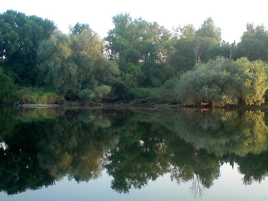 Bardzo niska Odra