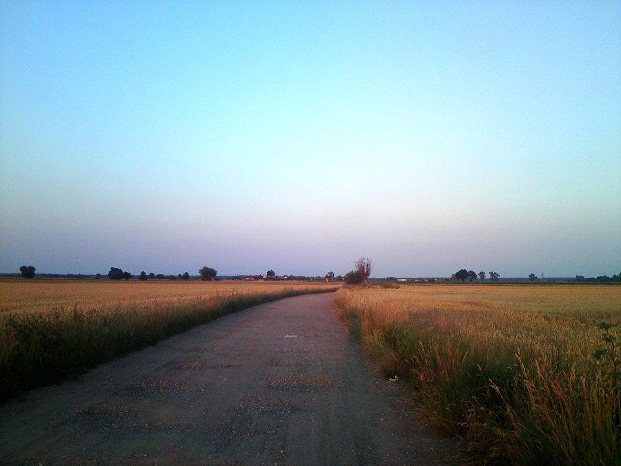 Piastowice - Złótówka