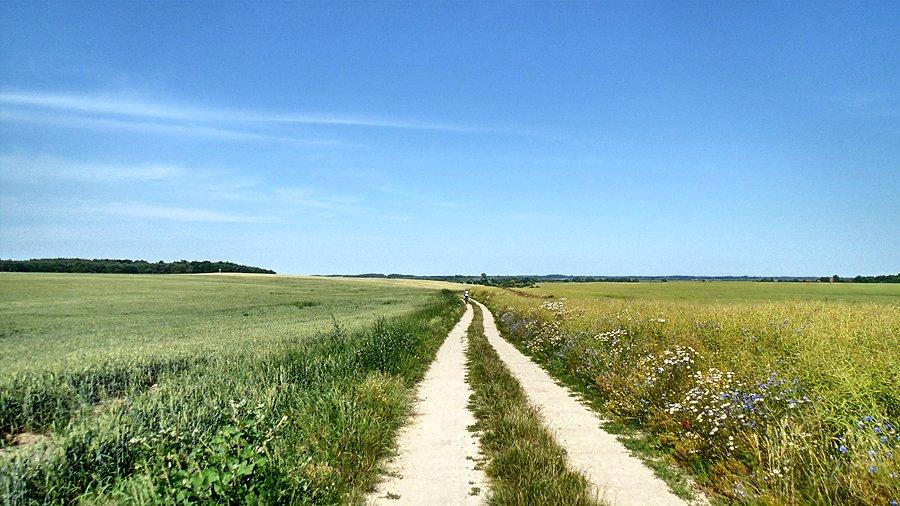 Dalej w drodze a peleton się rozciągnął :)