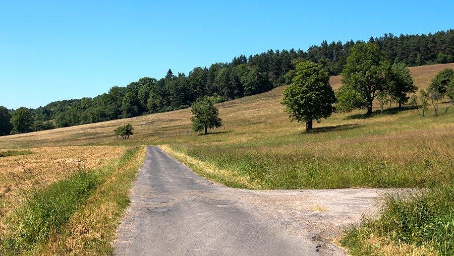 Odludzia w drodze do Arłamowa